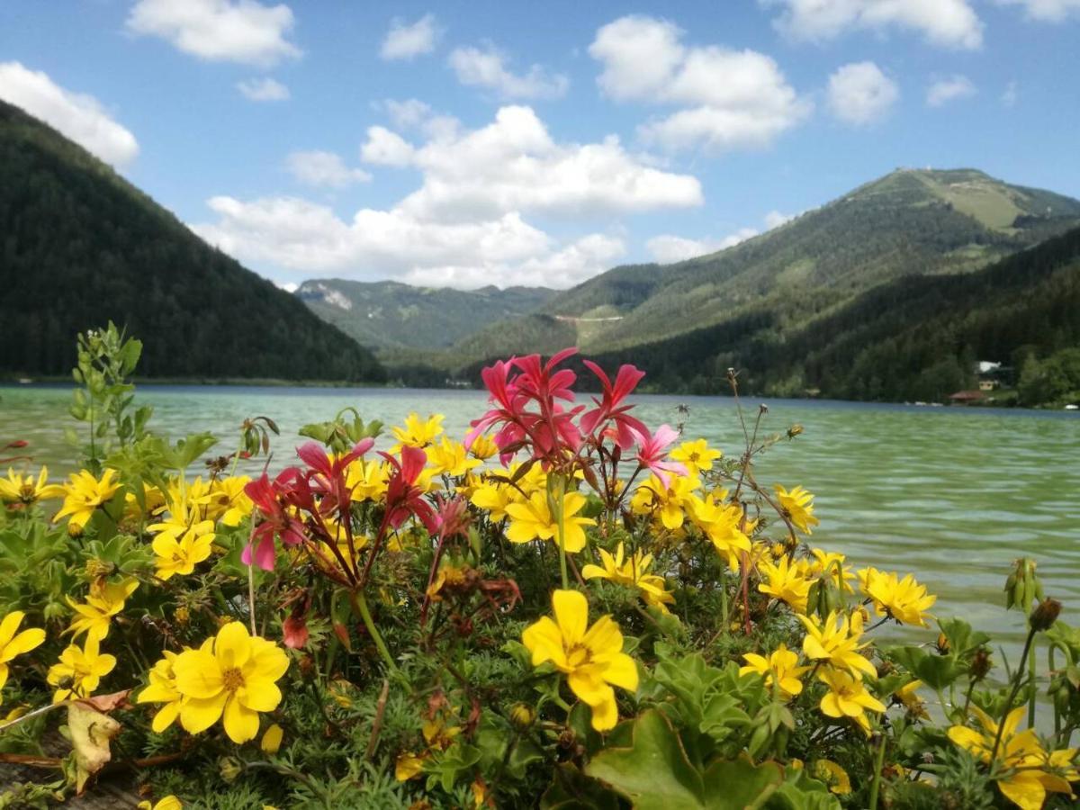 Apartment Mariazell Buergeralpe Buitenkant foto